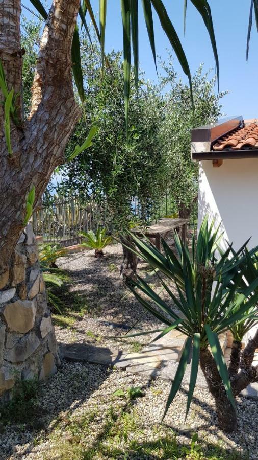 Piccola Casa Con Giardino Villa San Remo Buitenkant foto